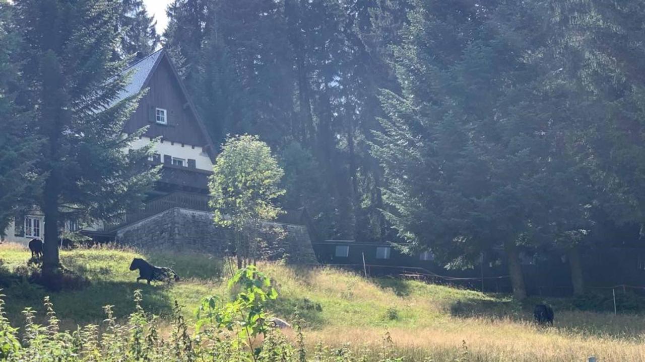Villa Berghaus Carlsfeld Eibenstock Exterior foto